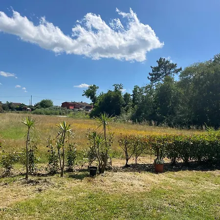 Tripla Il Picchio Pensión