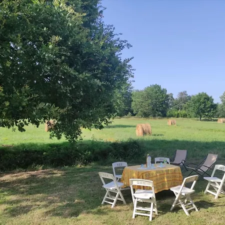 Tripla Il Picchio 알토파시오