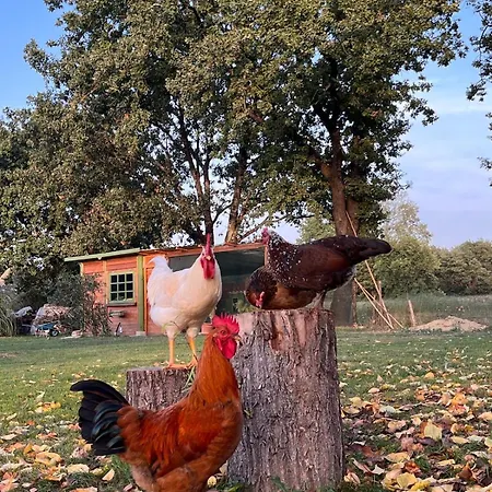 Tripla Il Picchio Алтопасчио