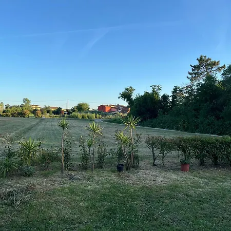 Tripla Il Picchio * Алтопасчио