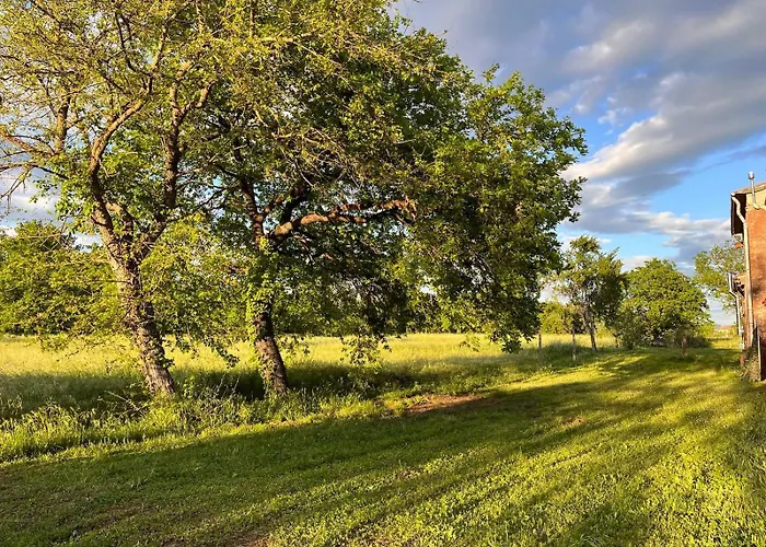 Tripla Il Picchio 3*