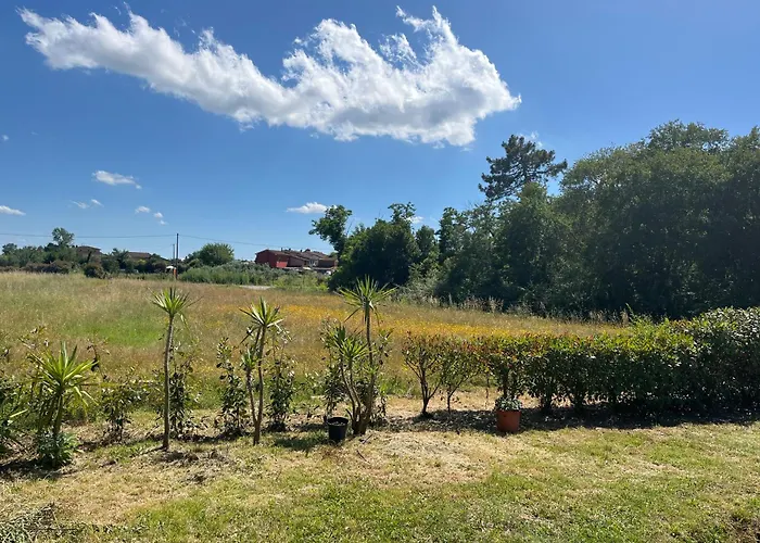 Tripla Il Picchio Affittacamere