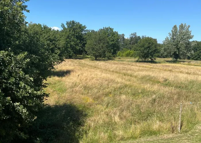 Tripla Il Picchio Affittacamere Altopascio